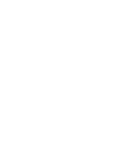 security action