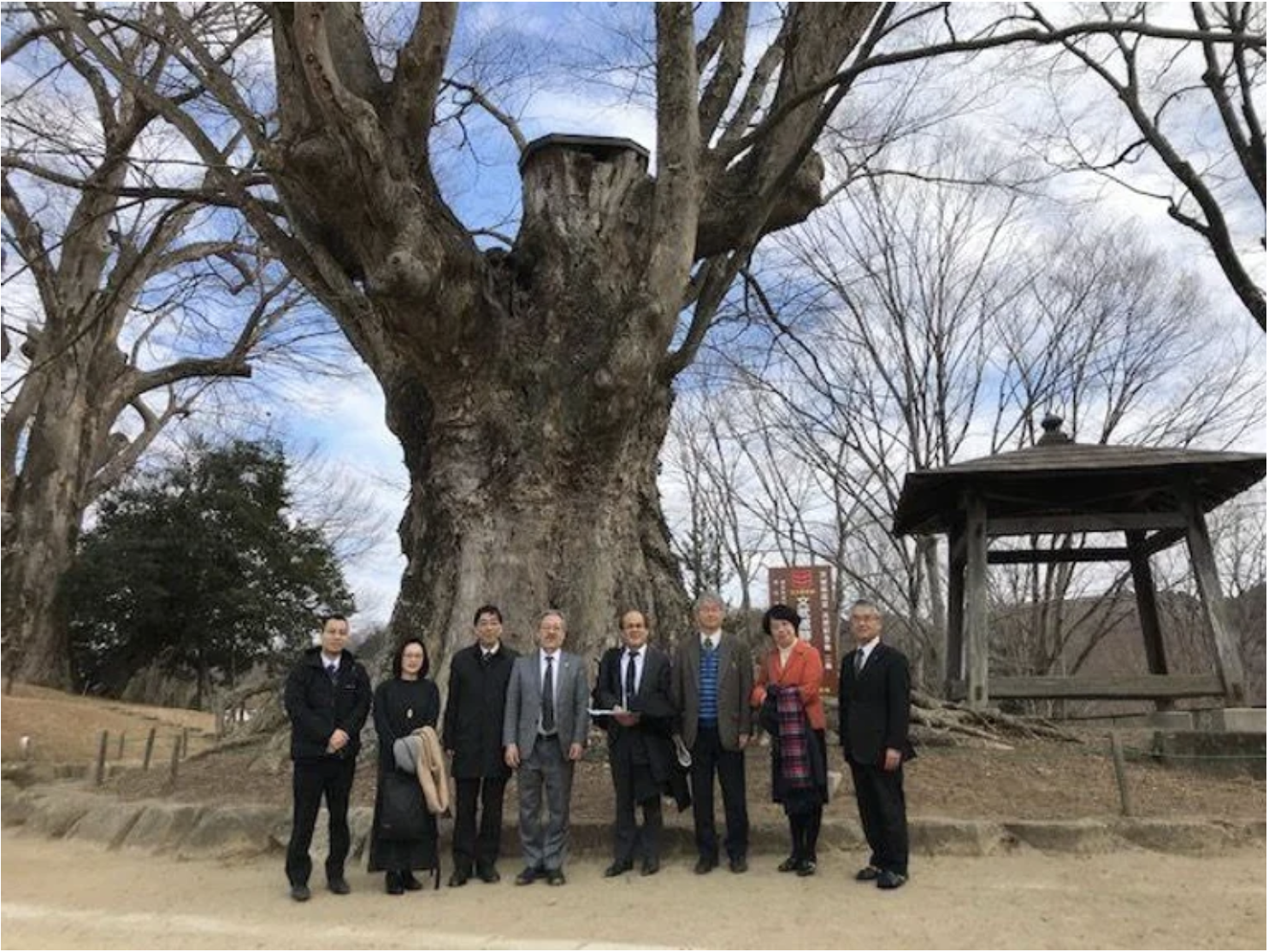 大子町と筑波大学の連携事業の総括会議に出席しました